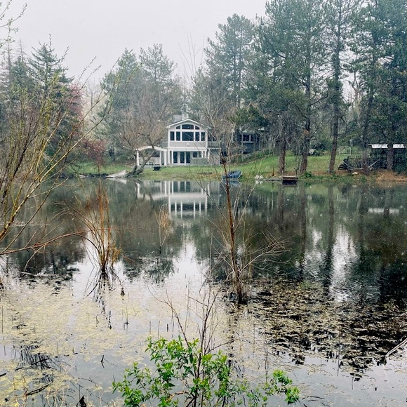 Meet your Posher, Liz - Picture 1 of 1